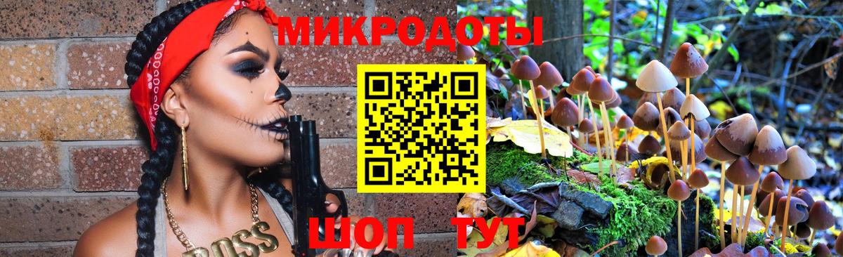 Псилоцибиновые грибы GOLDEN TEACHER  Вход с VPN  Петрозаводск 